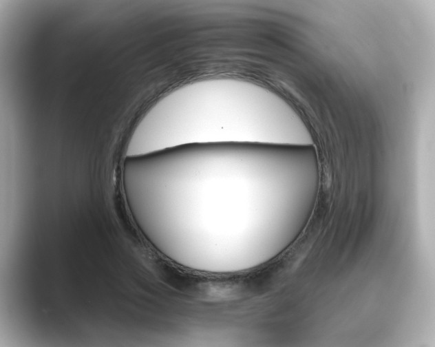X0000089750733200706210923