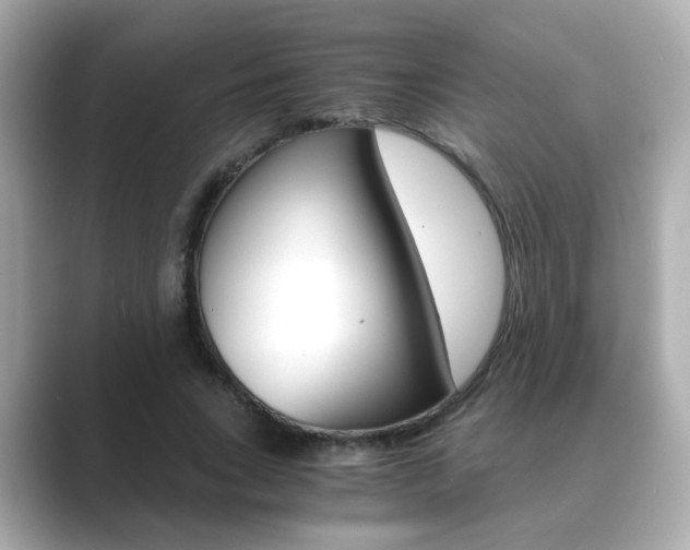 X0000089750735200706210923