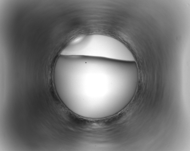 X0000089750737200706210923