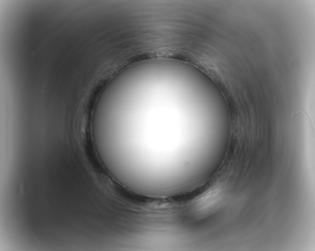 X0000089750742200706210923