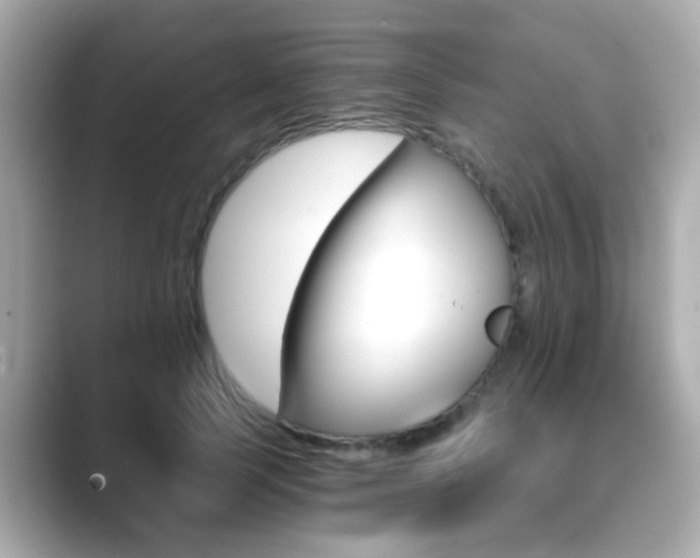 X0000089750745200706210923