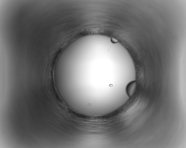 X0000089750746200706210923