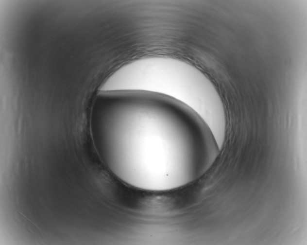 X0000089750748200706210923