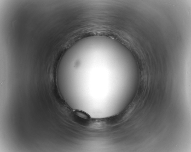 X0000089750754200706210924