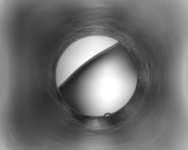 X0000089750755200706210924