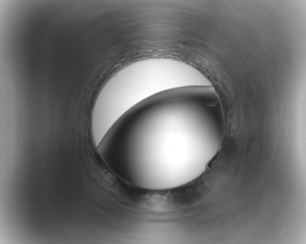 X0000089750756200706210924