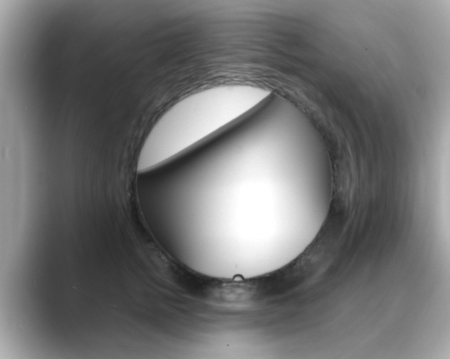 X0000089750758200706210924