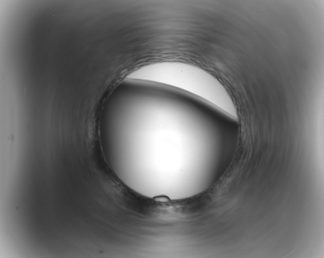 X0000089750760200706210924