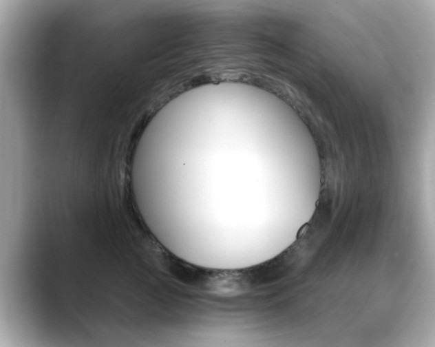 X0000089750761200706210924