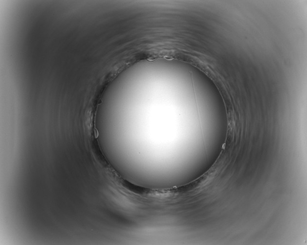 X0000089750767200706210924