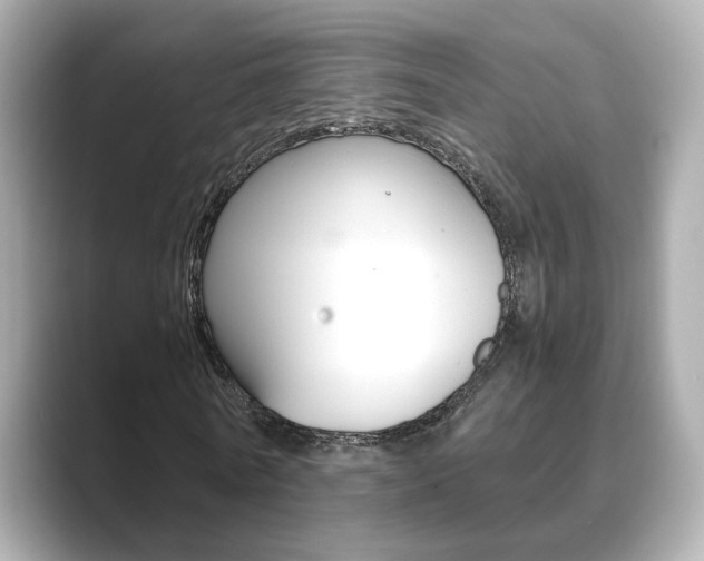 X0000089750770200706210923
