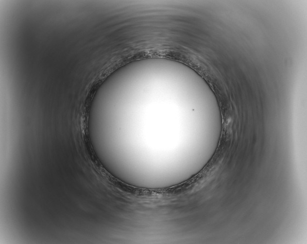 X0000089750772200706210923