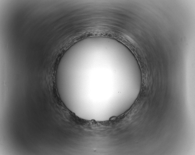 X0000089750774200706210923