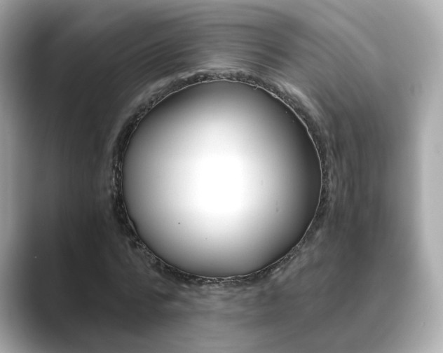 X0000089750776200706210923