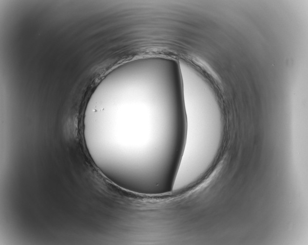 X0000089750777200706210923