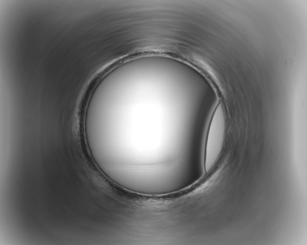 X0000089750779200706210923