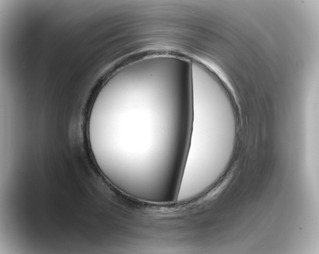 X0000089750783200706210923