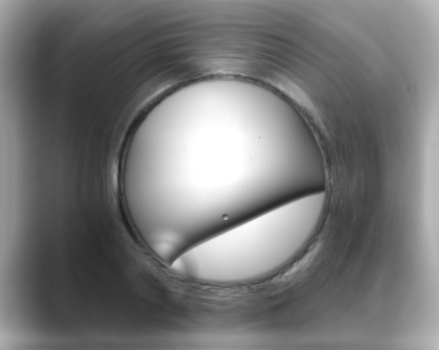 X0000089750790200706210923