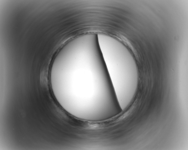 X0000089750794200706210923