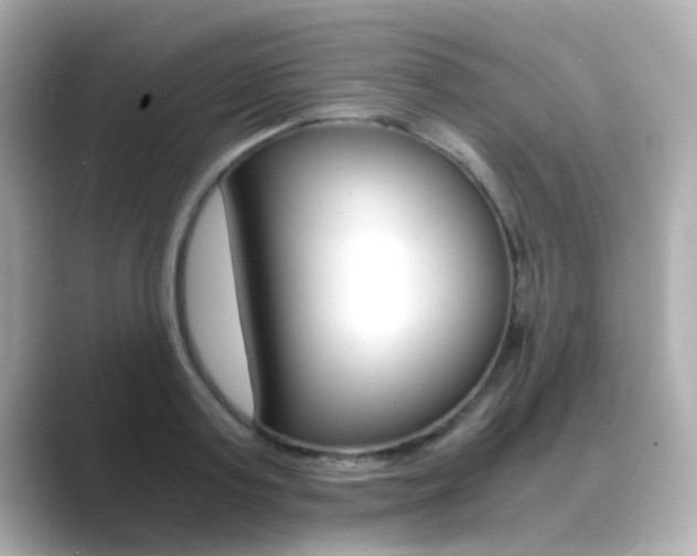 X0000089750795200706210923