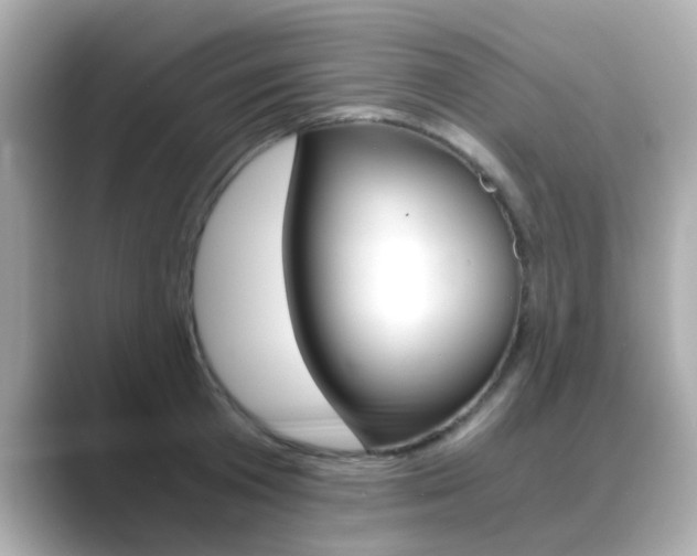 X0000089750801200706210923