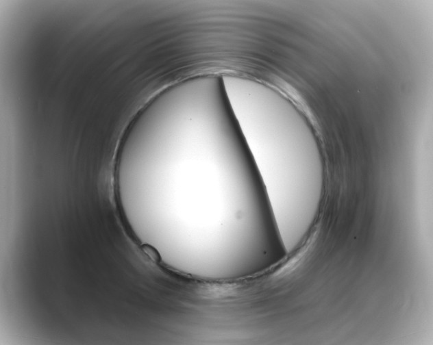 X0000089750802200706210923