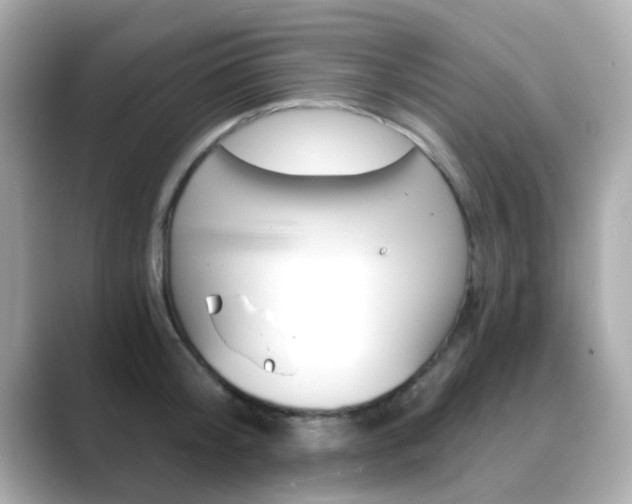 X0000089750804200706210923