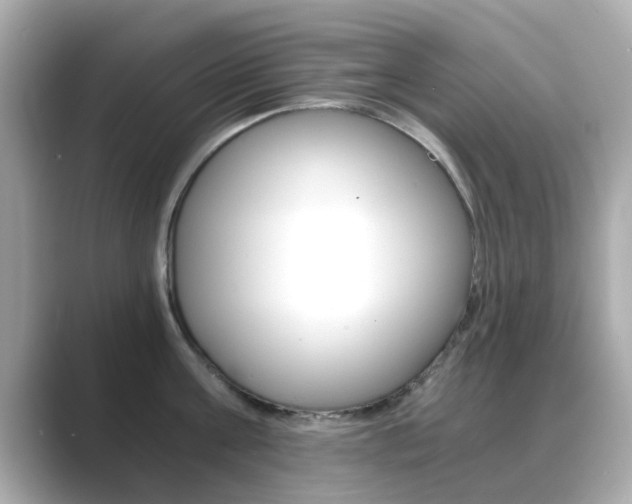 X0000089750811200706210923