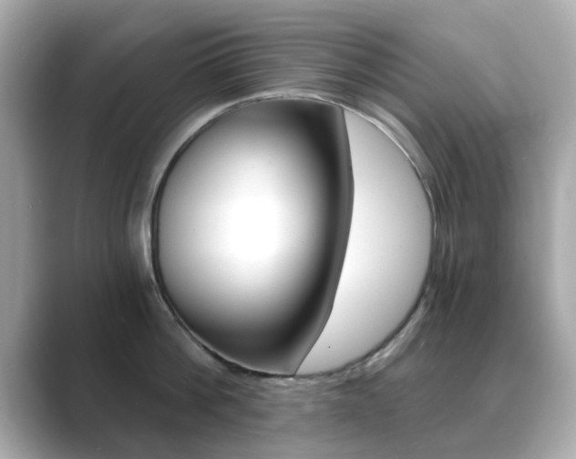 X0000089750812200706210923
