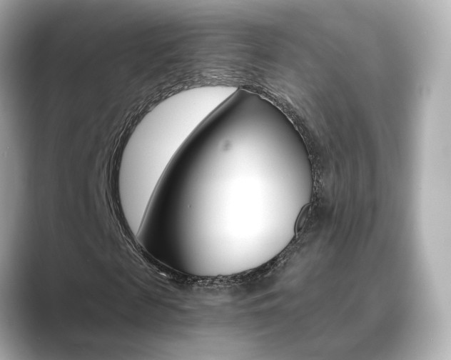 X0000089750817200706210922