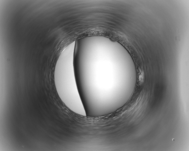 X0000089750819200706210922