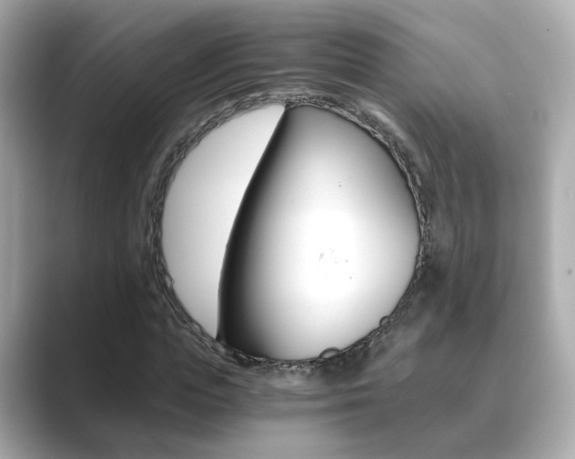 X0000089750823200706210922