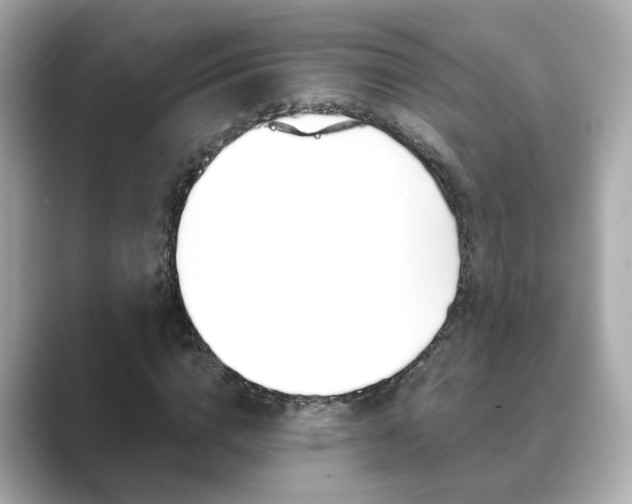 X0000089750824200706210922