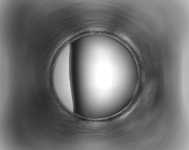 X0000089750829200706210922