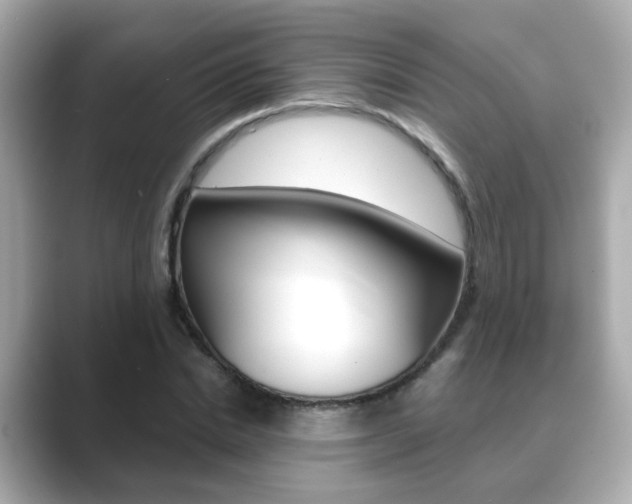 X0000089750830200706210922
