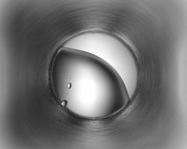 X0000089750834200706210922