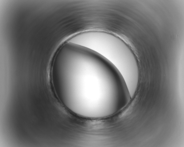 X0000089750846200706210922