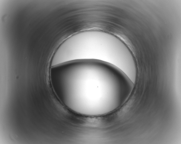 X0000089750850200706210922
