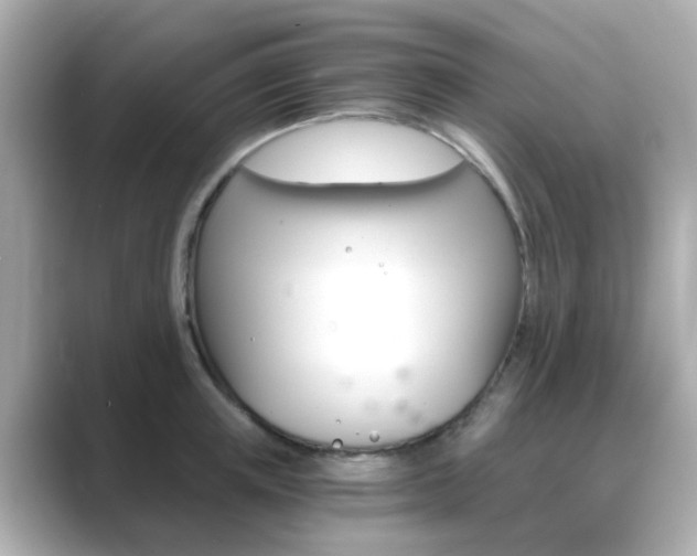 X0000089750851200706210922