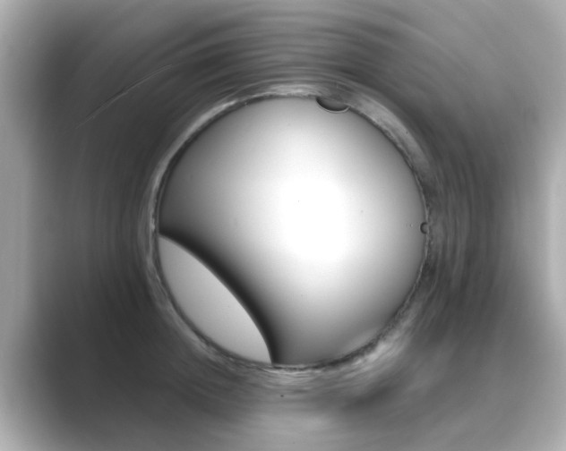 X0000089750852200706210922