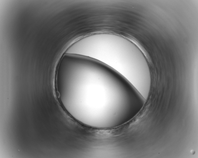 X0000089750861200706210922