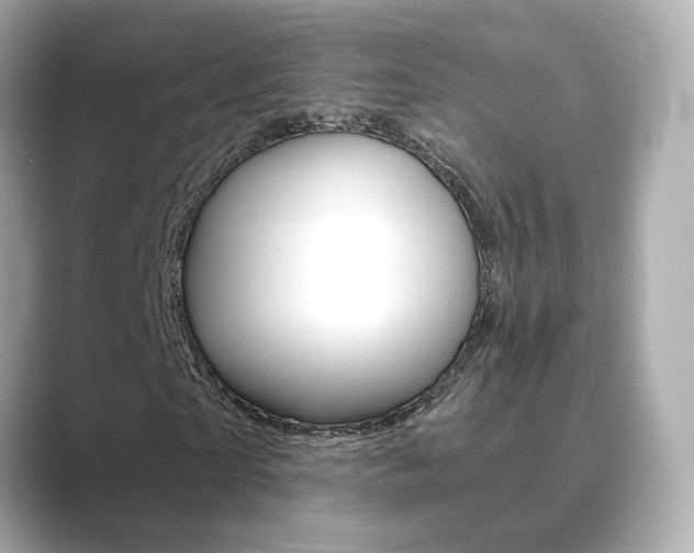 X0000089750865200706210922