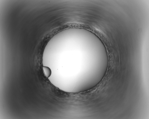 X0000089750870200706210922