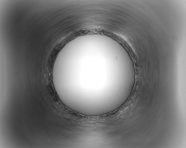 X0000089750871200706210922
