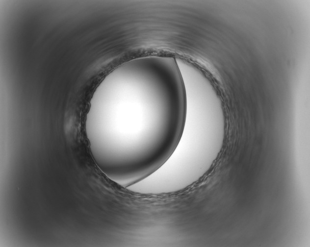 X0000089750872200706210922