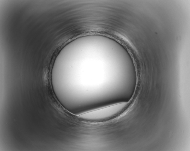 X0000089750873200706210922