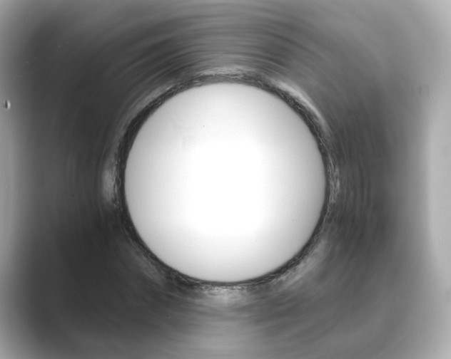X0000089750874200706210922