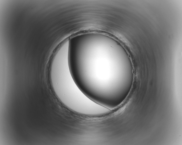 X0000089750877200706210922