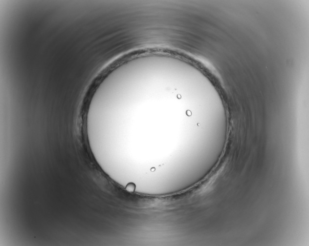 X0000089750879200706210922