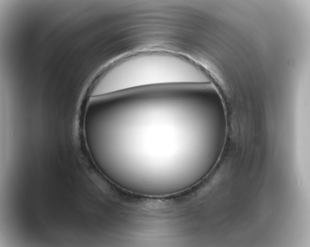 X0000089750880200706210922